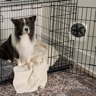 PET CRATE FAN